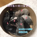 交渉中につき一時的に募集ストップ