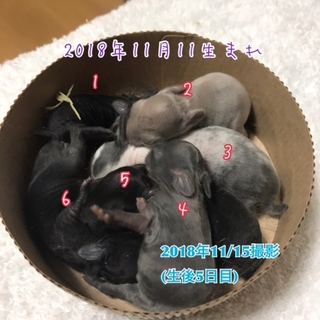 交渉中につき一時的に募集ストップ