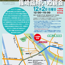 12月2日ちばわん『篠崎臨時いぬ親会』開催のご案内