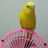 の写真