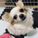 多数ご連絡頂きましたので一旦募集停止致します。