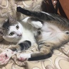 不適切だろうか