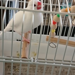 秋深まり