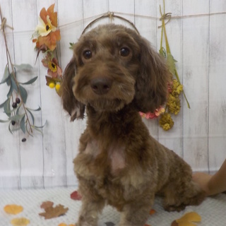 ♡甘えん坊のかまってちゃん♡