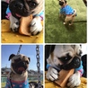 maru ずーっと大好きだよ♡♡