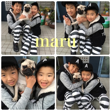 ありがとう´•ﻌ•`