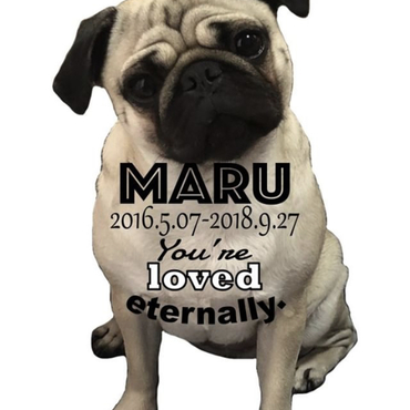 maru 2016.05.07.+*:ﾟ+｡.☆2018.09.27