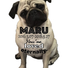 maru 2016.05.07.+*:ﾟ+｡.☆2018.09.27
