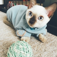 マンドゥ