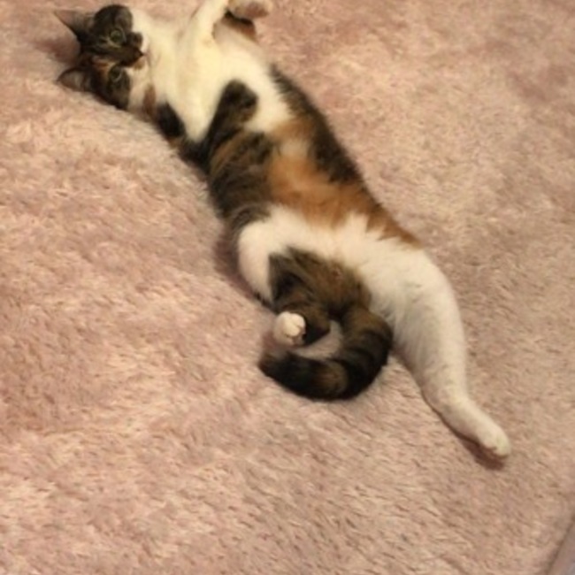 晴あい〜のカバー写真