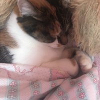 エミー