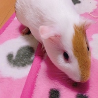 まきば