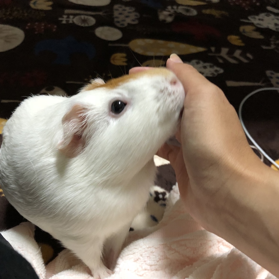 まきばのカバー写真