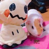 の写真