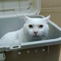 「もうすぐ募集再開(予定)」サムネイル2