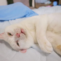 「もうすぐ募集再開(予定)」サムネイル3