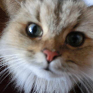 ❤甘えん坊な子❤