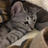 お布団の中でぬくぬく