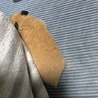 ✼キンクマ×長毛ホワイトハムスター✼ サムネイル5