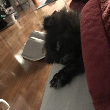 お布団きもちいいね♡