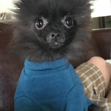 いつもと顔が違う 笑 びっくり顔かわいい