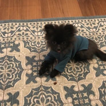 ビスケット散らしながら食べるおばかさん