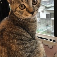 くぅ