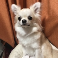 モナ