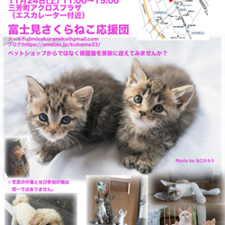 アクロスプラザ三芳里親会