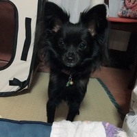 クロエ
