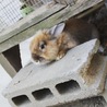 の写真