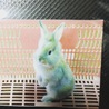 の写真