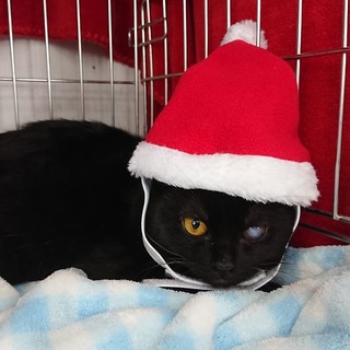 ぷりぷり。コロコロ。モーリーちゃん。