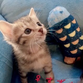 5週間 凸凹三兄妹