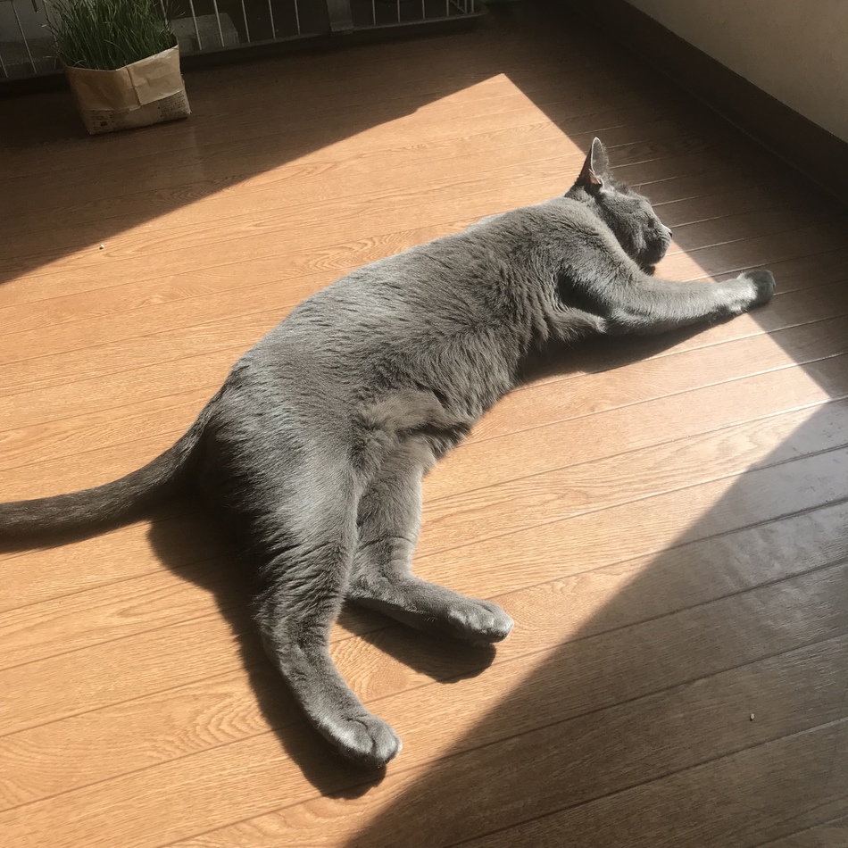 ヴィンセントのカバー写真