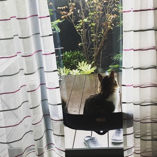 珈琲飴のカバー写真