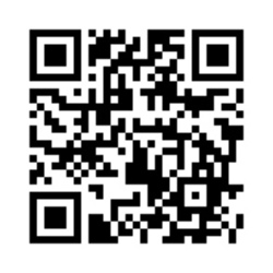 保護ネコ譲渡会in西宮！！ サムネイル2