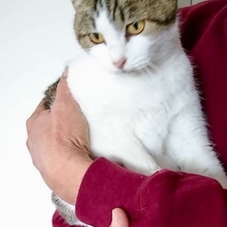 可愛くて甘えん坊女の子