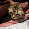 ゆず