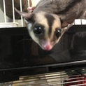 ご応募ありがとうございました。