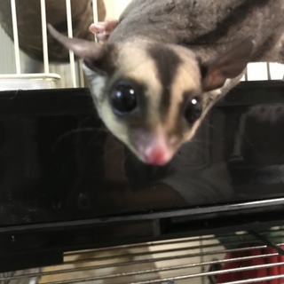 ご応募ありがとうございました。