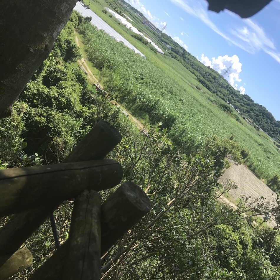 おとめのカバー写真