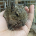 ありがとうございました。