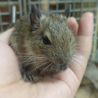 ありがとうございました。