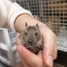 ありがとうございました。 サムネイル3