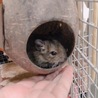 ありがとうございました。 サムネイル4