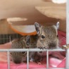 ありがとうございました。 サムネイル5