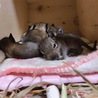 ありがとうございました。 サムネイル6