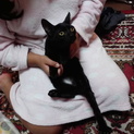 黒猫　雄　里親募集