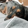 の写真